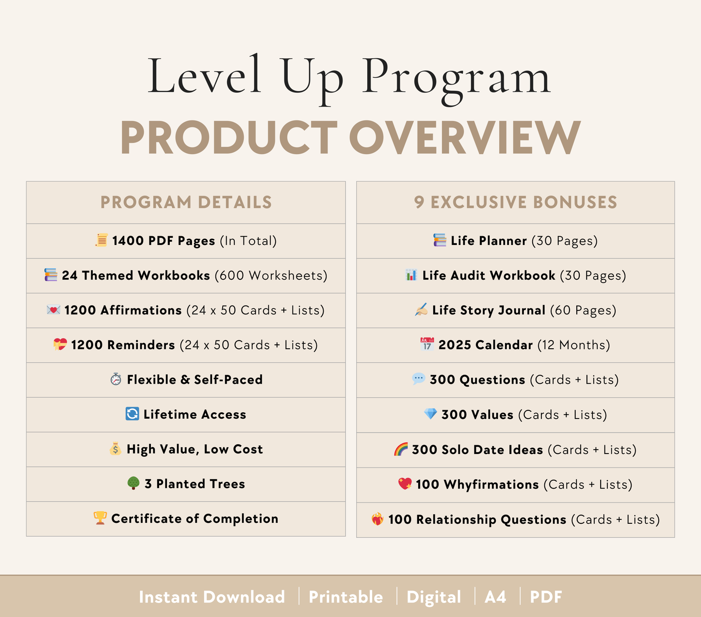 Level Up Program