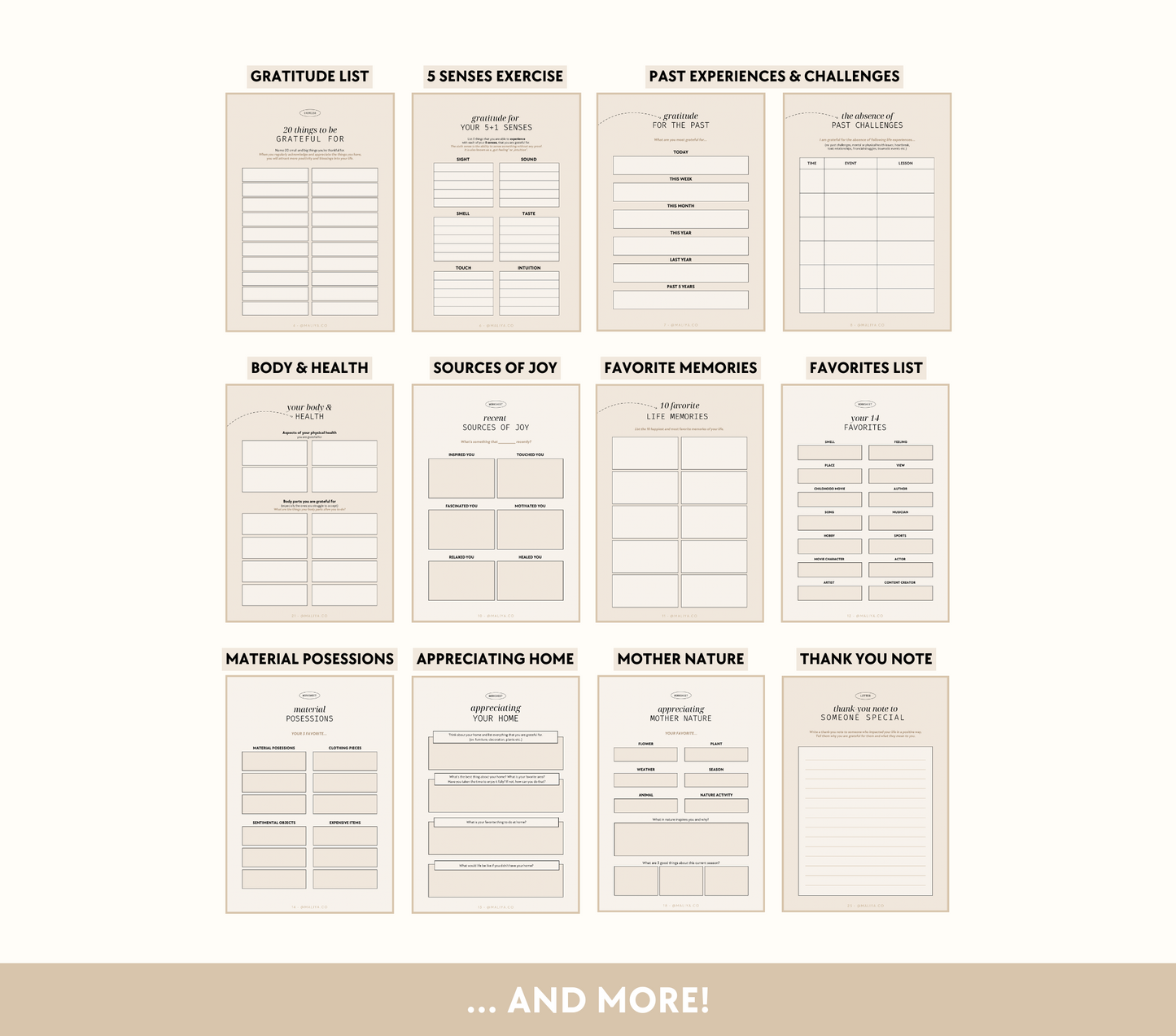 Gratitude Workbook