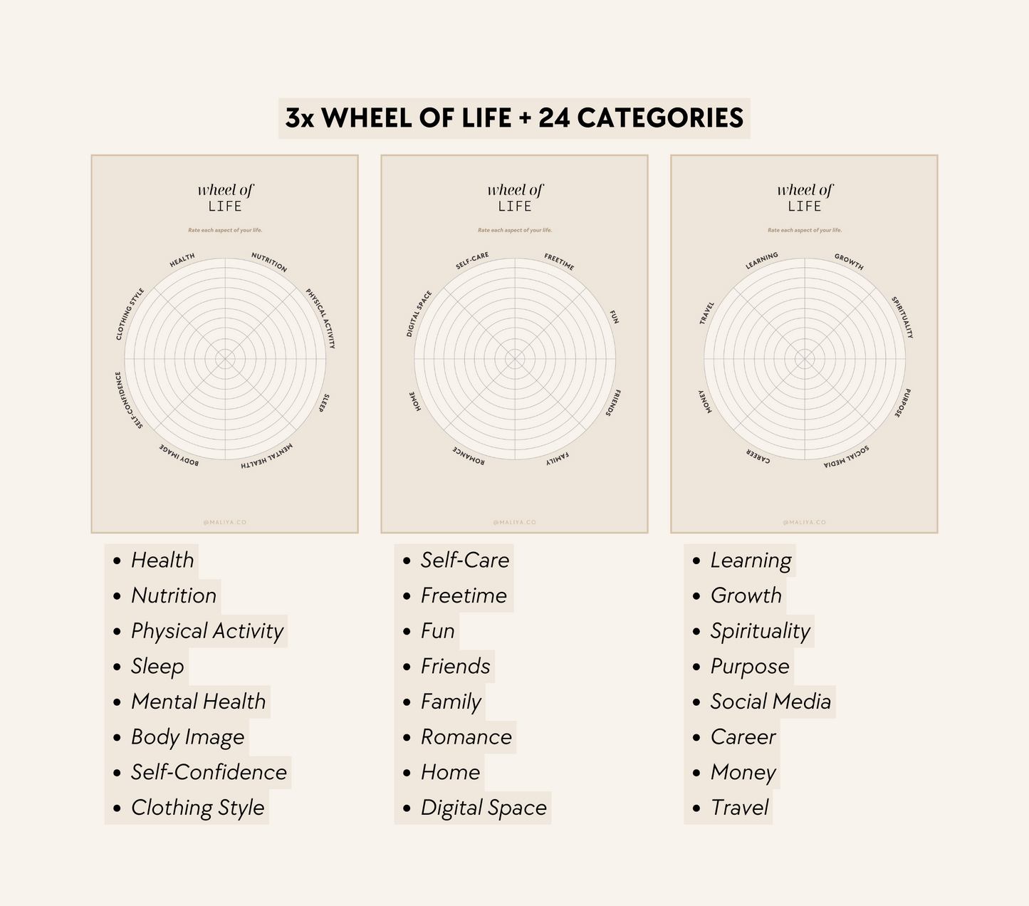 Life Audit Workbook