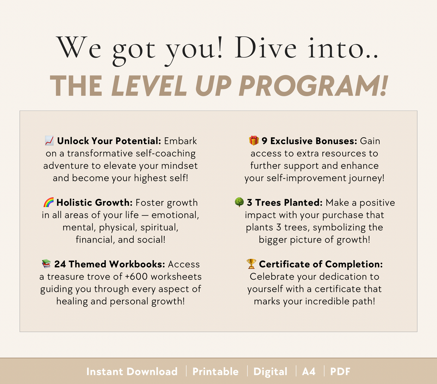 Level Up Program