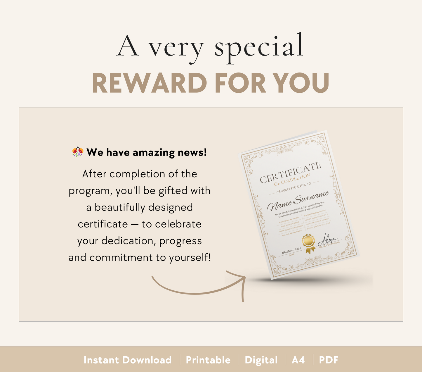 Level Up Program