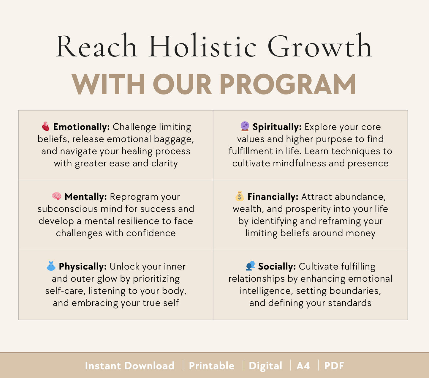 Level Up Program